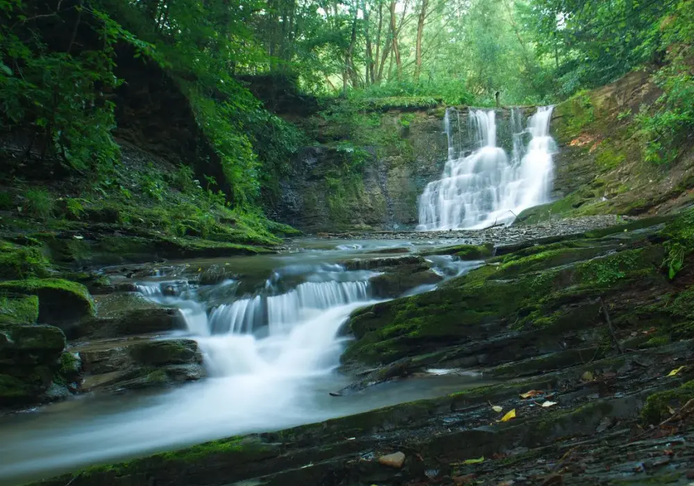 Magurski Park Narodowy: Co Warto Zobaczyć? 7 Naturalnych Cudów