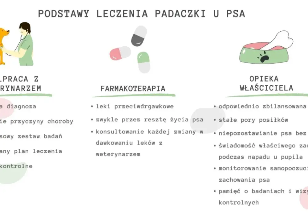Padaczka idiopatyczna u psa: Atak i pomoc. Jak kontrolować chorobę?