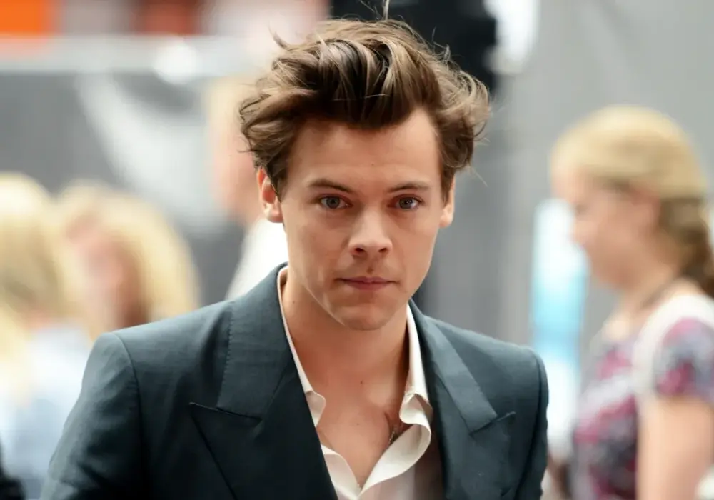Harry Styles gejem - Fakty czy domysły o orientacji?