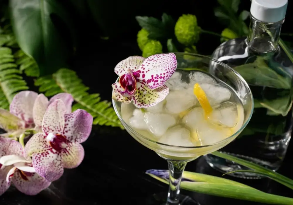 Pisco Sour - Twój przepis na kultowy koktajl. Mistrzowska pianka!