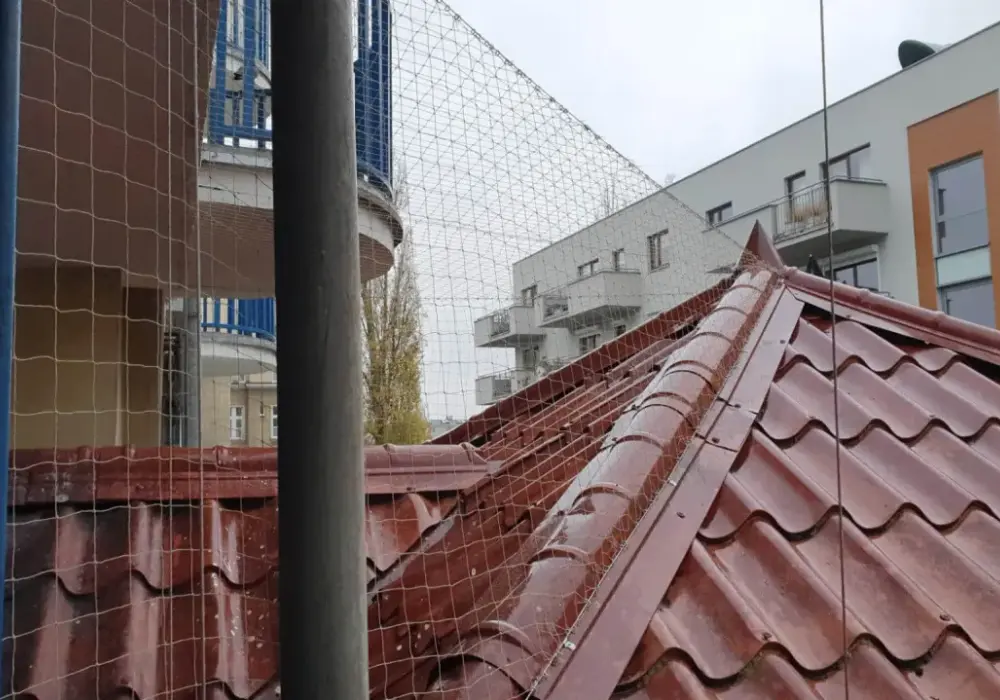 Jak humanitarnie pozbyć się ptaków z elewacji? Skuteczne metody