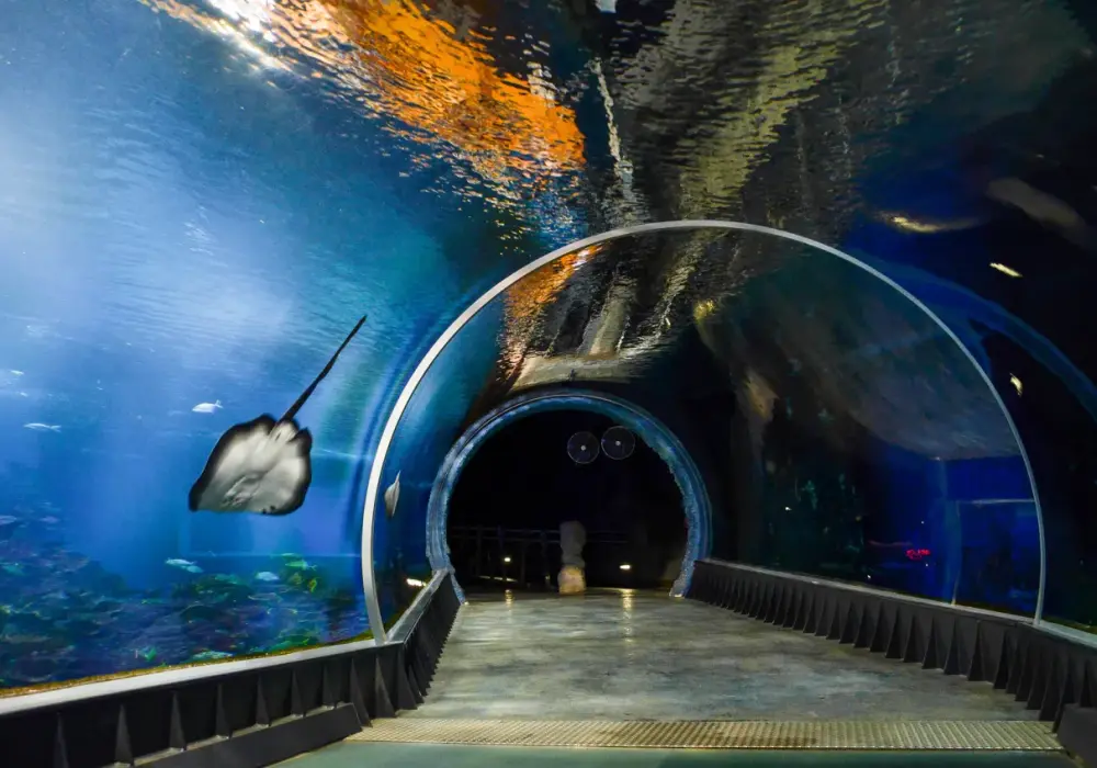 Atrakcje w zoo Wrocław – co warto zobaczyć i ile to kosztuje