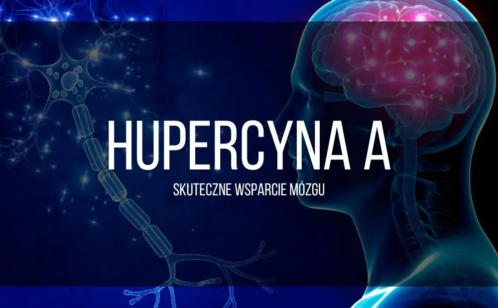 Suplementy na pamięć i koncentrację - skuteczne wsparcie dla twojego mózgu