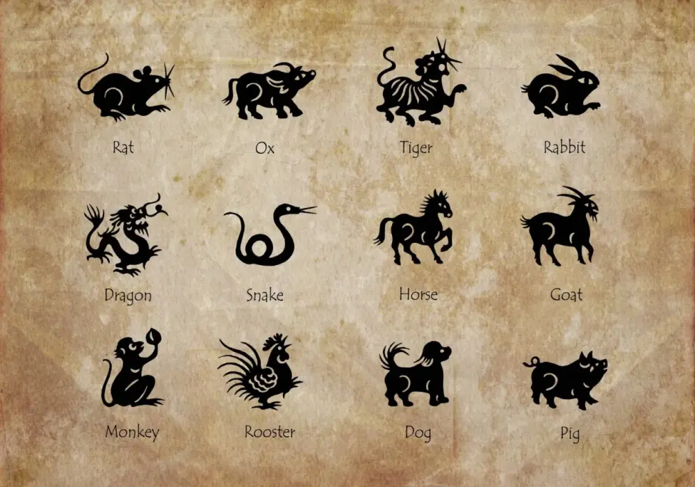Chiński Zodiak - Sprawdź Swój Znak i Prawdziwe Znaczenie!