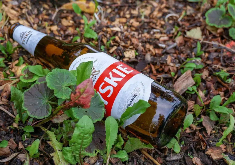 Dlaczego piwo pachnie skunksem? Wyjaśniamy, jak chronić trunek
