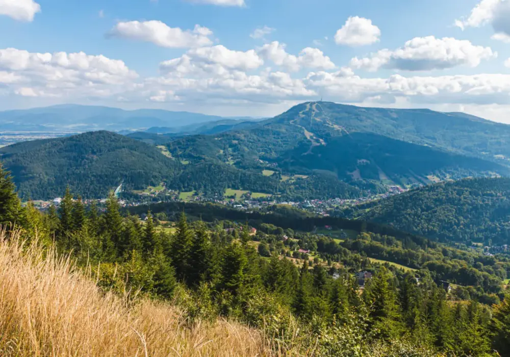 Odkryj Park Krajobrazowy Beskidu Śląskiego: Szlaki, Atrakcje, Porady