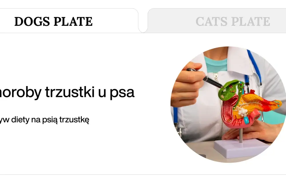 Chora trzustka u psa? Odkryj jadłospis i przepisy na zdrowe życie!