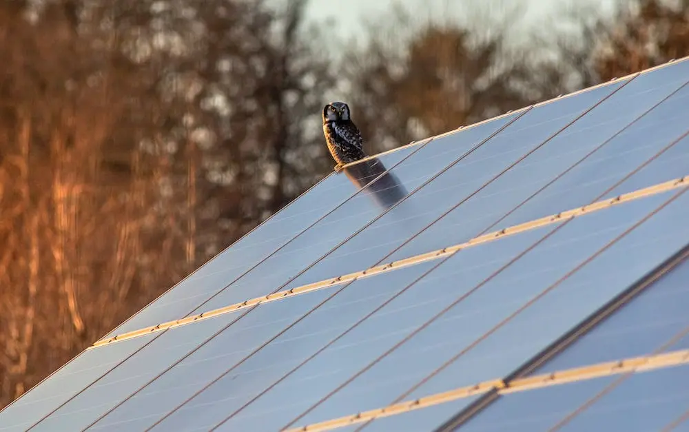  Panele fotowoltaiczne 500W - sprawdź ceny i opinie | SolarPRO