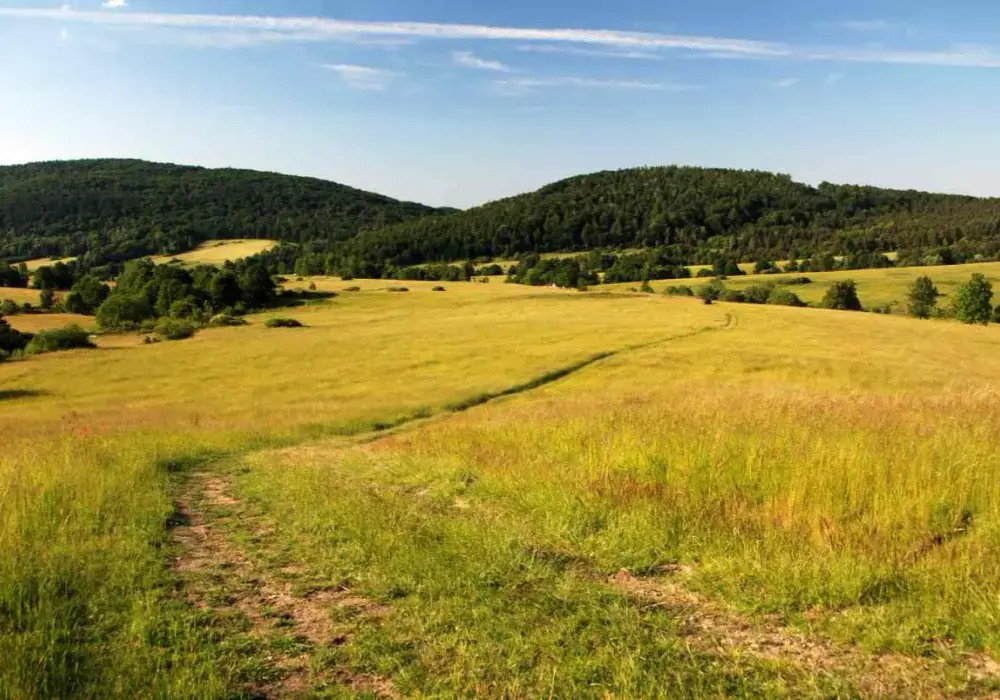 Gorlice - Beskid Niski. Trasy piesze i praktyczne wskazówki