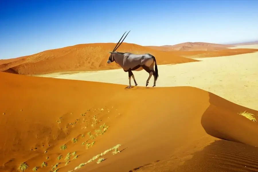 Namibia czy jest bezpiecznie? Poznaj zagrożenia i środki ostrożności