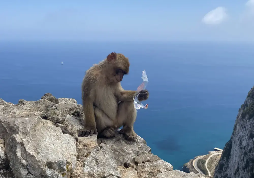 Gdzie leży Gibraltar i co warto zobaczyć na miejscu?