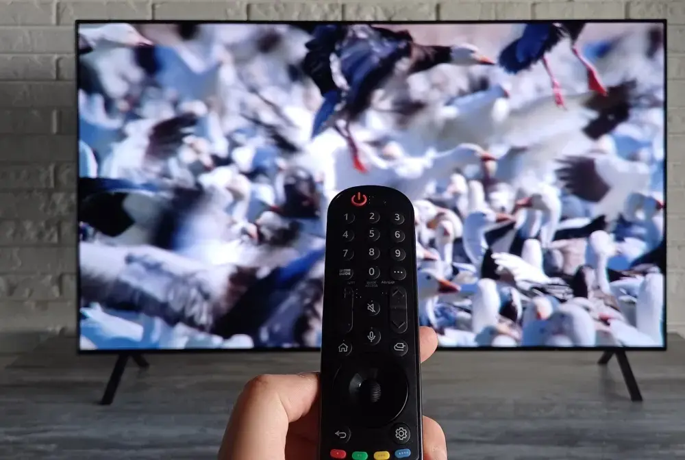 Telewizja naziemna bez dekodera - Jak ustawić kanały?