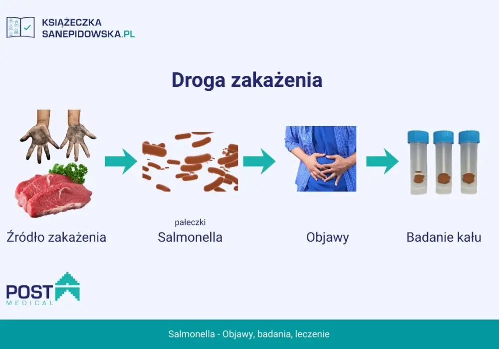 Salmonella w ciąży - Jak rozpoznać objawy i bezpiecznie leczyć?