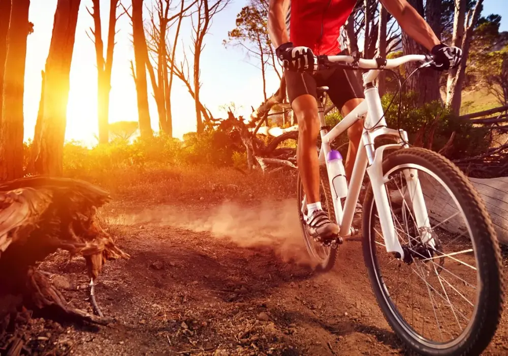 Trasy Rowerowe w Górach: 5 Szlaków dla Każdego Miłośnika Dwóch Kółek
