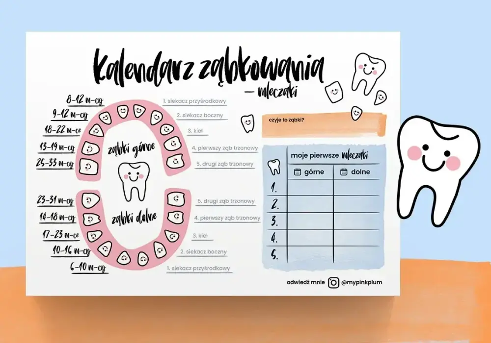 Siódemki - Kiedy wychodzą i jak o nie dbać? Poradnik
