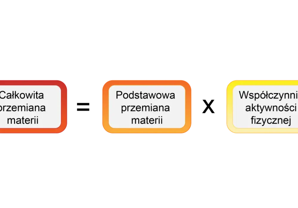 Całkowita przemiana materii - Jak ją obliczyć i mądrze schudnąć?