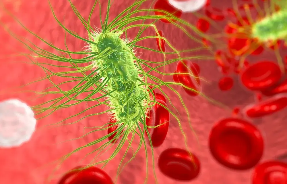 E. coli w moczu - kiedy to zakażenie, a kiedy nie?