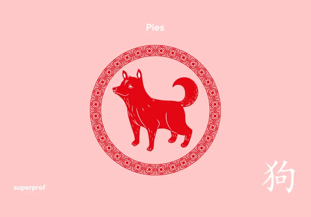 Chiński znak zodiaku 1994 - Pies Drewna? Sprawdź!