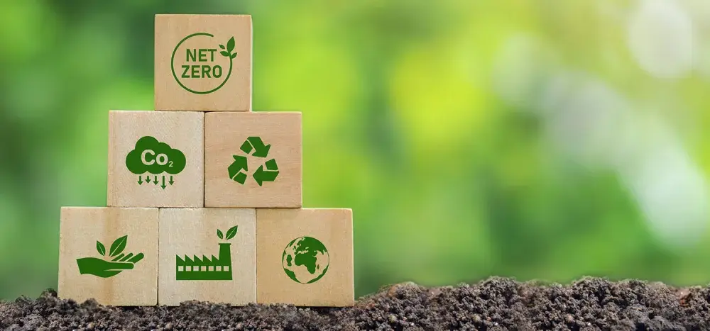 Recykling organiczny: Jak skutecznie przetwarzać odpady i zyskać korzyści
