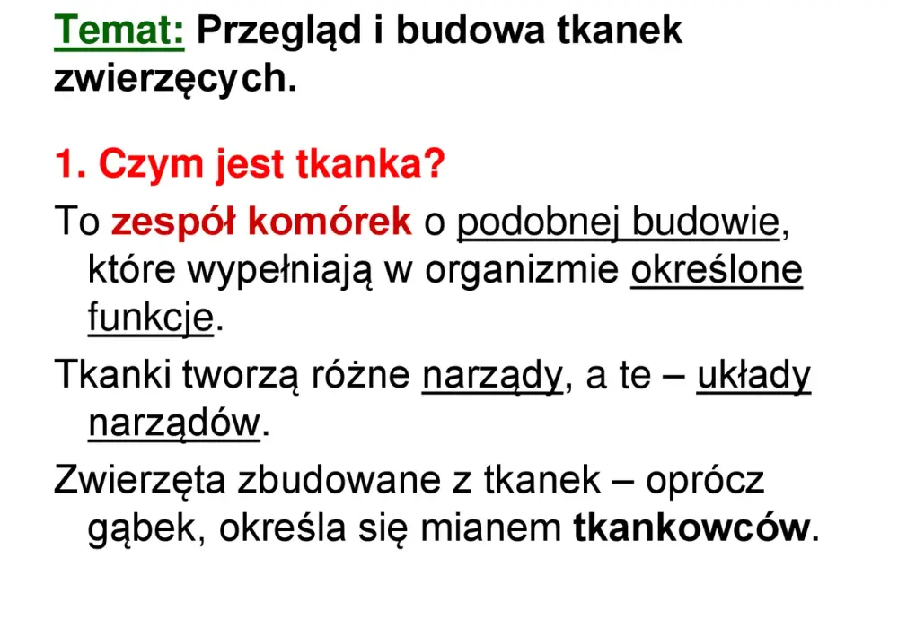 Tkanki zwierzęce - Dlaczego ich budowa nigdy nie jest przypadkowa?