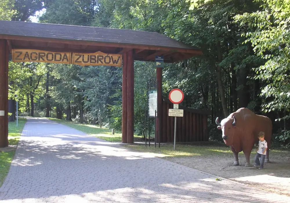 Zagroda Żubrów Pszczyna: Planuj wizytę! Ceny, dojazd, atrakcje