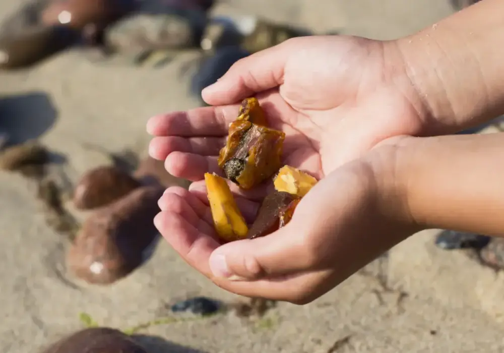 Jak znaleźć bursztyn na plaży? Skuteczne wskazówki i sekrety
