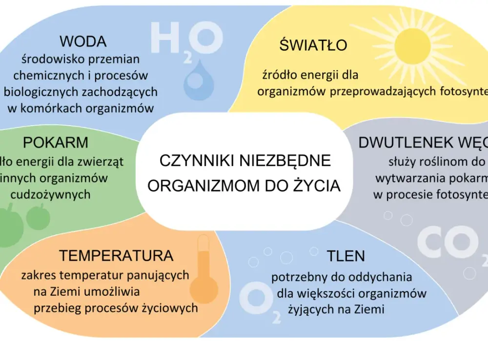 Królestwa organizmów - Jak odróżnić 5 grup i uniknąć pomyłek?