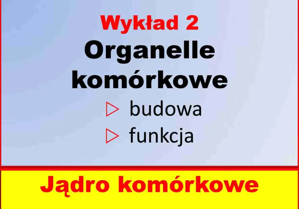 Budowa komórki - Jak zrozumieć funkcje i nie mylić organelli?