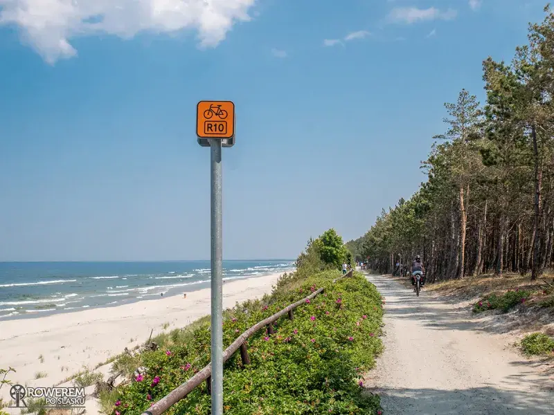 Jak zaplanować wycieczkę rowerem po Mierzei Wiślanej: praktyczny poradnik