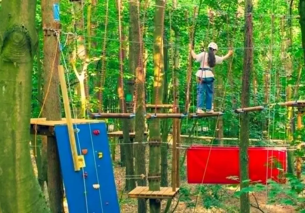 Sopocki park linowy - Czy to atrakcja dla Twojego dziecka?