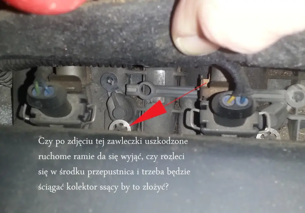 Opel P1113 - Błąd Twinport? Diagnoza i naprawa krok po kroku