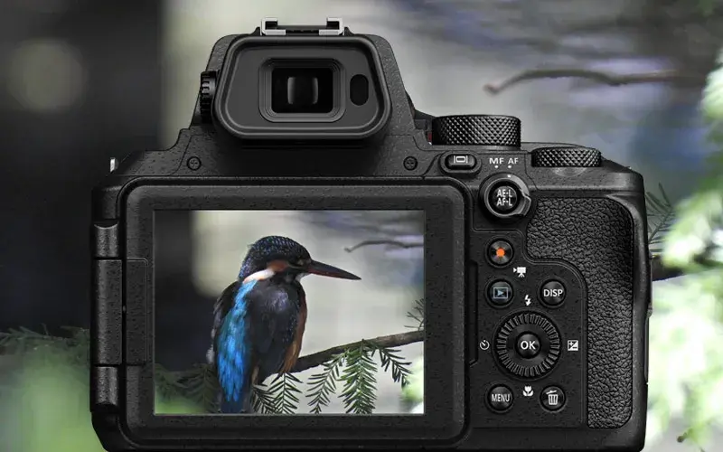 Nikon Coolpix P950 - Zawrotny zoom w kompaktowym wydaniu 