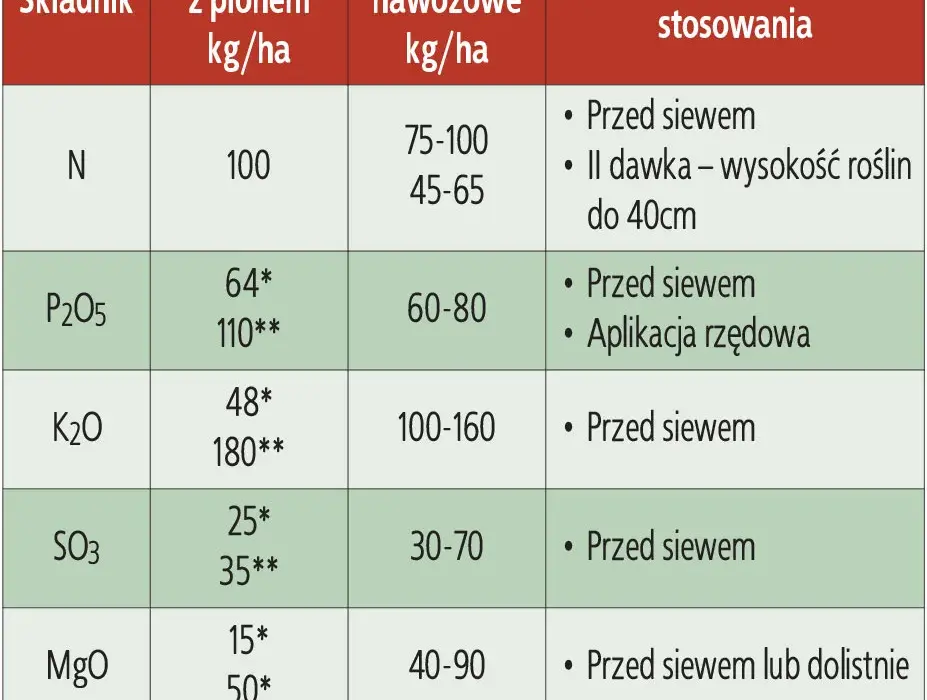 Ile nawozu na kukurydze? Odkryj idealne dawki dla zdrowego plonu