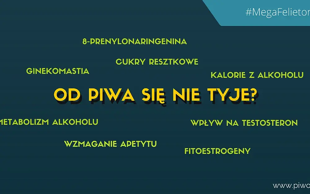 Czy od piwa się tyje? Odkryj prawdę o kaloriach i wadze