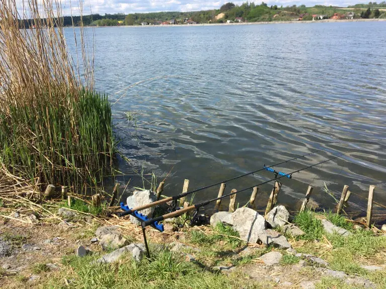 Gdzie na ryby w Świętokrzyskiem? Odkryj najlepsze lokalizacje