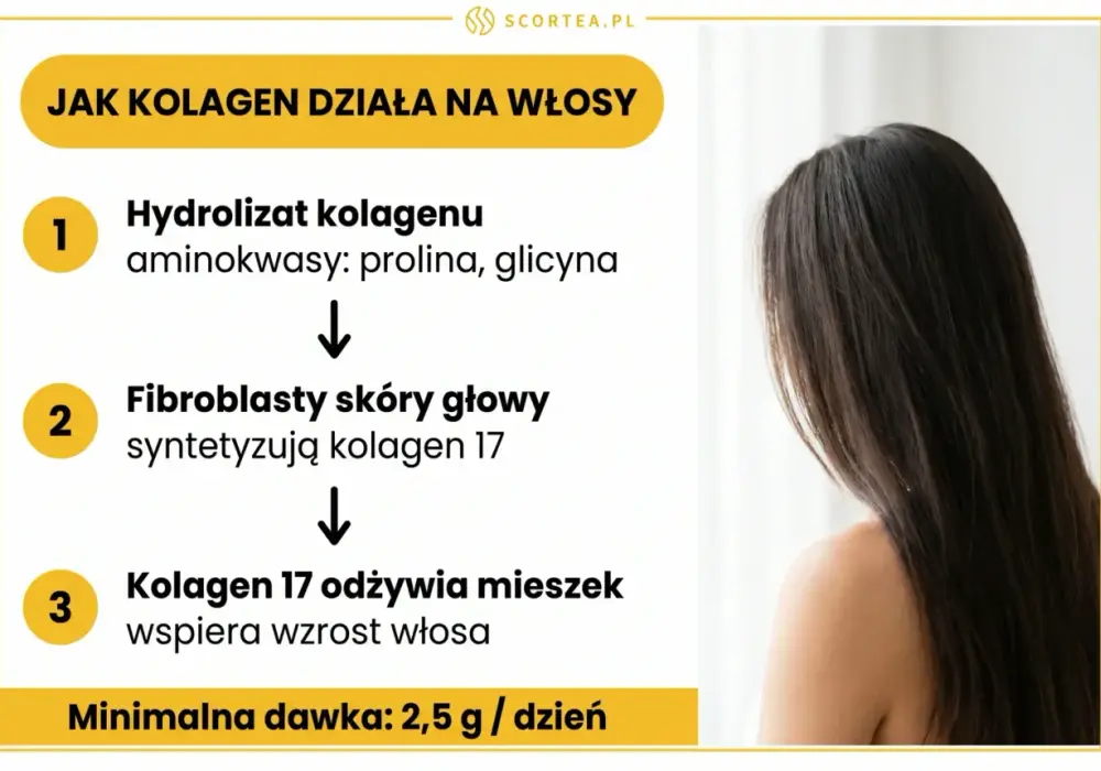 Kolagen na włosy - kiedy działa i jak ocenić efekty