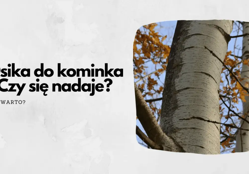 Osika w kominku - czy warto palić? Zalety i wady drewna