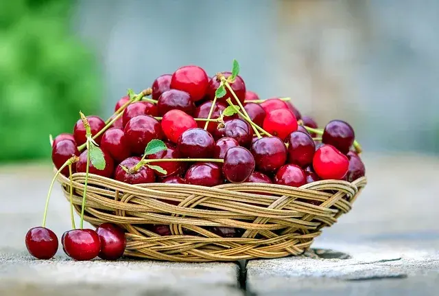 Czy czereśnie tuczą? Prawda o kaloriach i ich wpływie na dietę