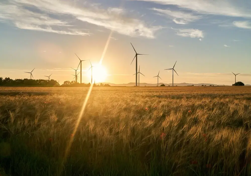 Ile kosztuje elektrownia wiatrowa? Poznaj ukryte wydatki i oszczędności