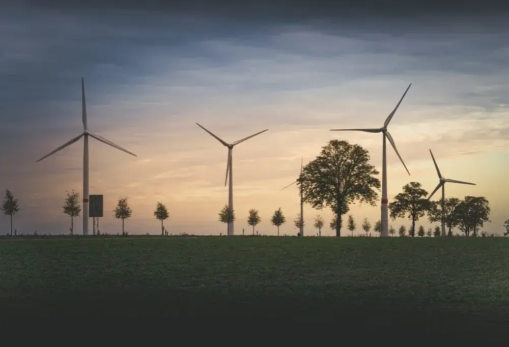 Wykorzystanie energii wiatrowej: jak obniżyć koszty i chronić środowisko