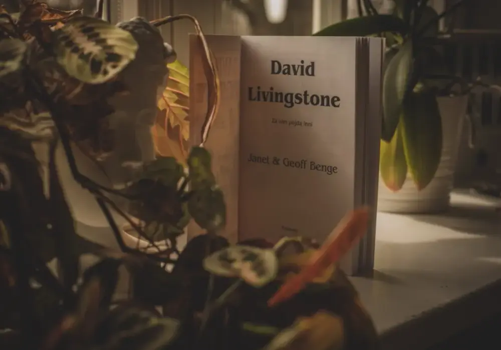 David Livingstone – co odkrył i jak zmieniło to Afrykę