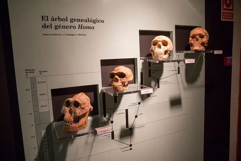 Kto był pierwszy na świecie? Odkryj fascynujące historie i fakty