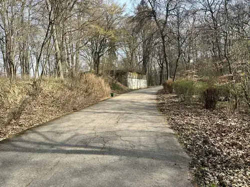 Gdzie na spacer z psem koło Krakowa? Odkryj najlepsze miejsca