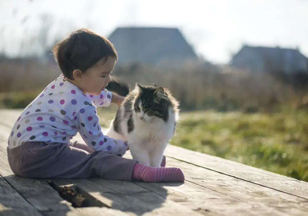 Alergia na kota: objawy u dziecka, które warto znać, aby pomóc