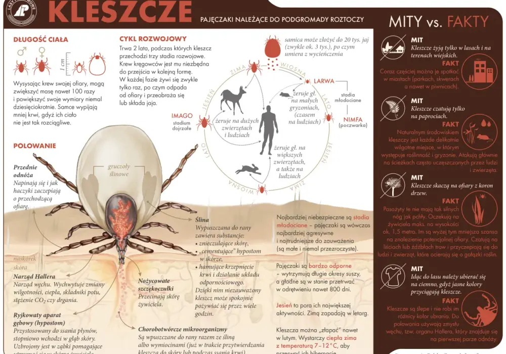 W kleszczach lęku streszczenie: Czy znasz wszystkie sekrety Cobena?