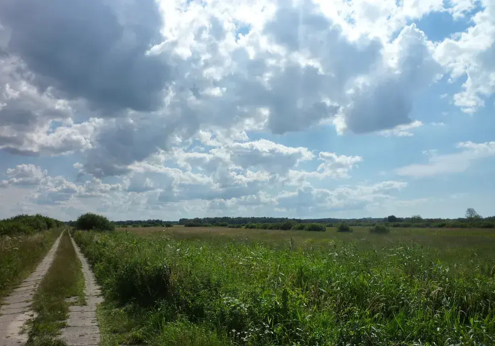 Trasa rowerowa Rowy Czołpino: piękne widoki i praktyczne porady