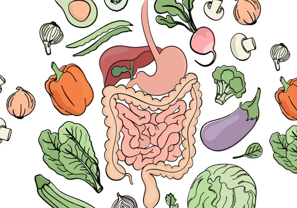 Dieta po operacji jelita grubego - Co jeść, by wspomóc gojenie?