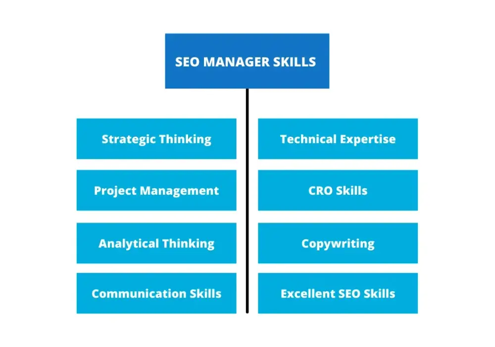 Content SEO manager do czego służy - kluczowe zadania i umiejętności