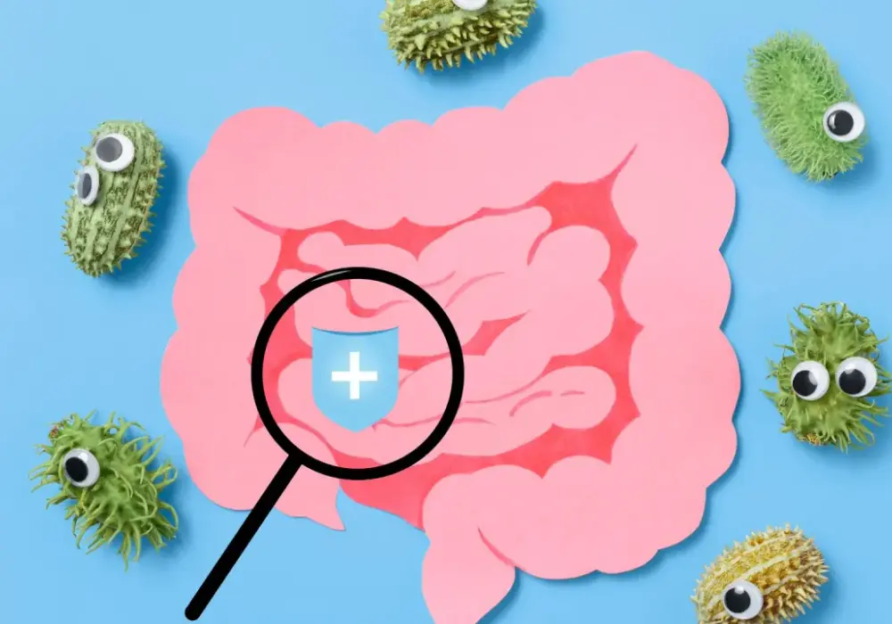 E. coli - kiedy jest groźna? Objawy, leczenie i zapobieganie