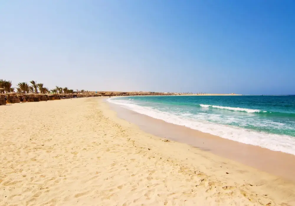Czy jest bezpiecznie w Marsa Alam? Oto co musisz wiedzieć o zagrożeniach